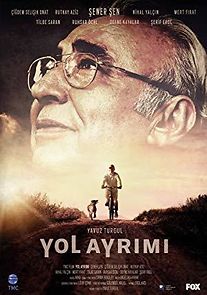 Yol Ayrimi (2017)